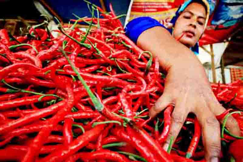 Inflasi Kota Jambi dan Muaro Bungo Agustus 0,03 dan 0,06 Persen