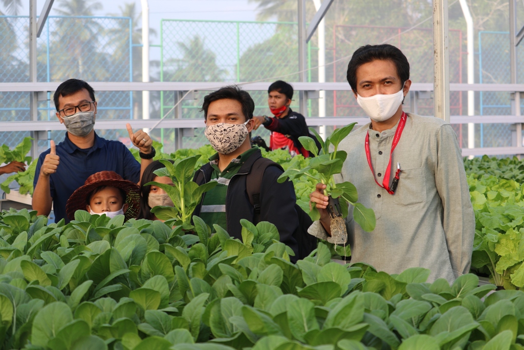 Pertamina Bersama ‘Dewi Sri’ Menyemai Benih di Tanah Kenali Asam, Saat Pandemi Covid-19