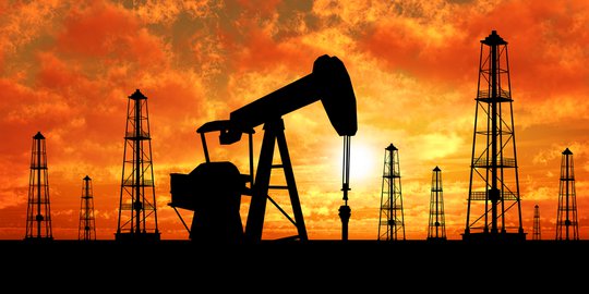 Pandemik Covid-19, SKK Migas-KKKS Sumbagsel Sumbang Produksi Minyak 10,4% dan Gas 30% dari Produksi Nasional