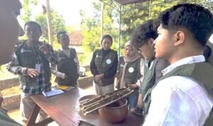 PUSGENRI_LEBAH_TRIGONA_2c7bb94497